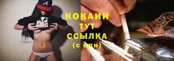 индика Арсеньев