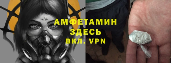 индика Арсеньев