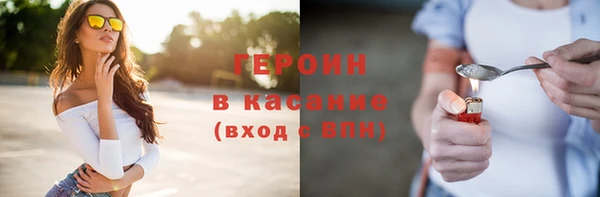 индика Арсеньев