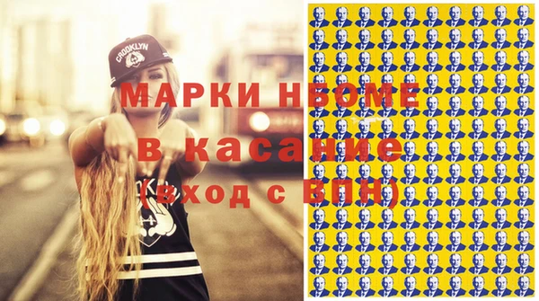 индика Арсеньев