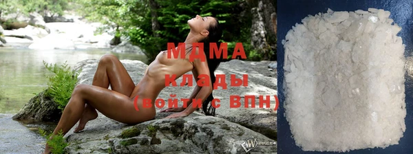 шишки Мегион