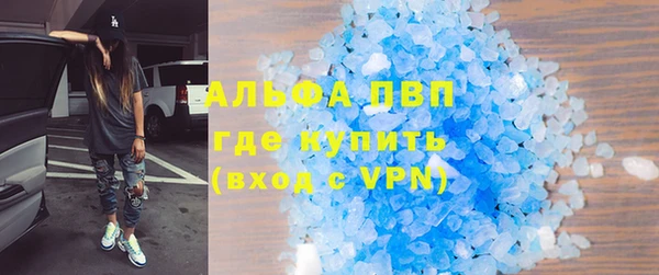 индика Арсеньев
