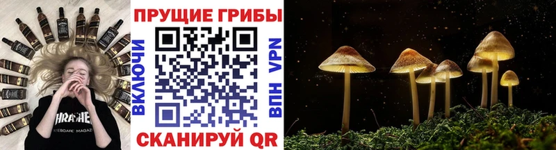 Галлюциногенные грибы мицелий  купить наркотики цена  Шумерля 